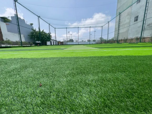 Turf photo 3