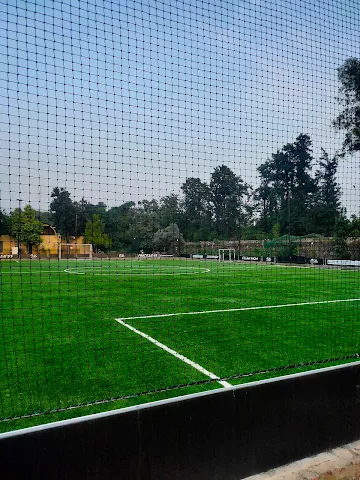 Turf photo 2