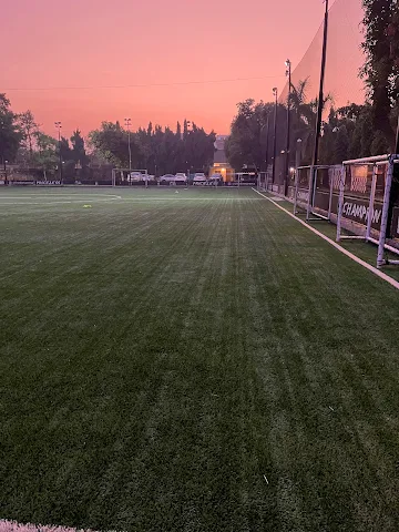 Turf main photo