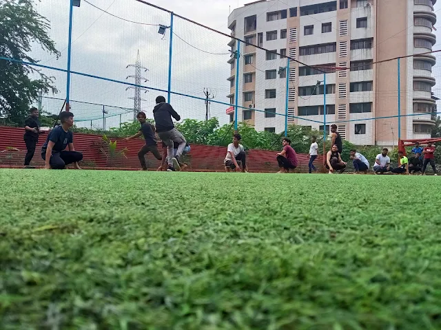Turf photo 4