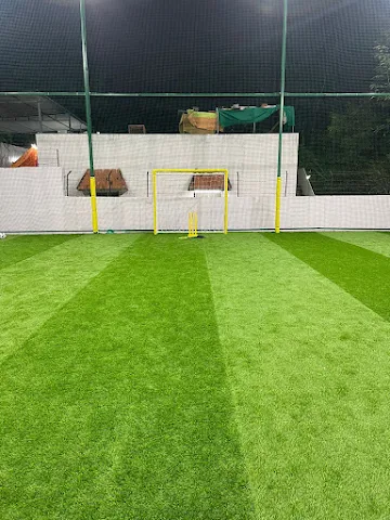 Turf photo 2