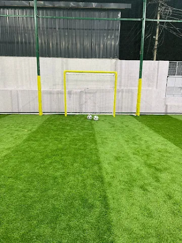 Turf photo 3