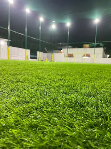 Turf photo 4
