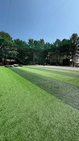 Turf photo 4