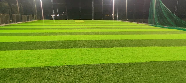 Turf photo 2