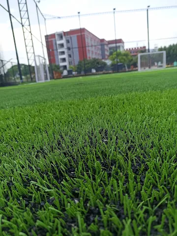 Turf photo 3