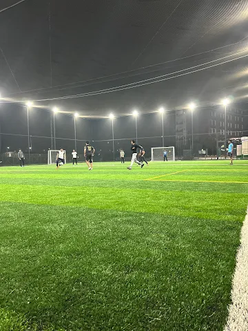 Turf photo 2