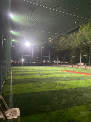 Turf photo 2