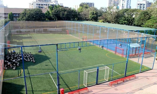 Turf main photo