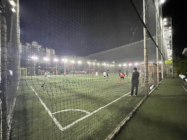 Turf photo 3