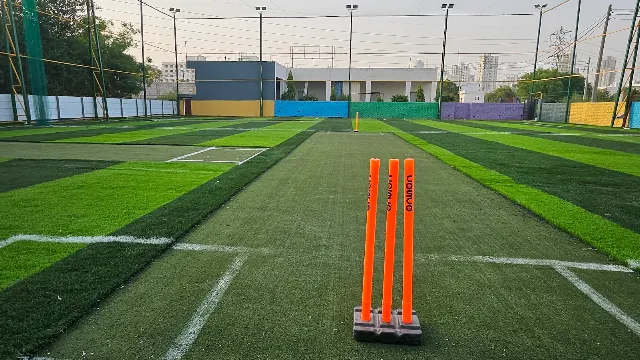 The Big Box Sports Turf