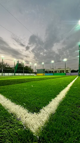 Turf photo 2