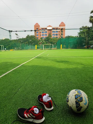 Turf main photo