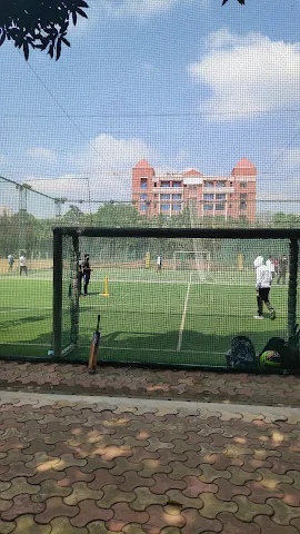 Turf photo 2