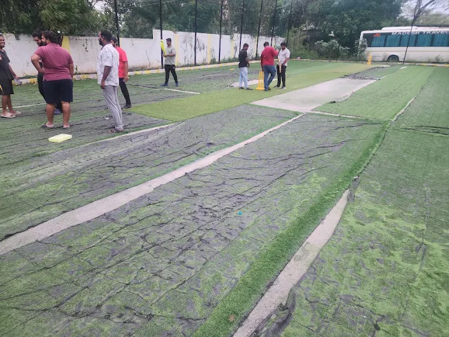 Turf photo 3