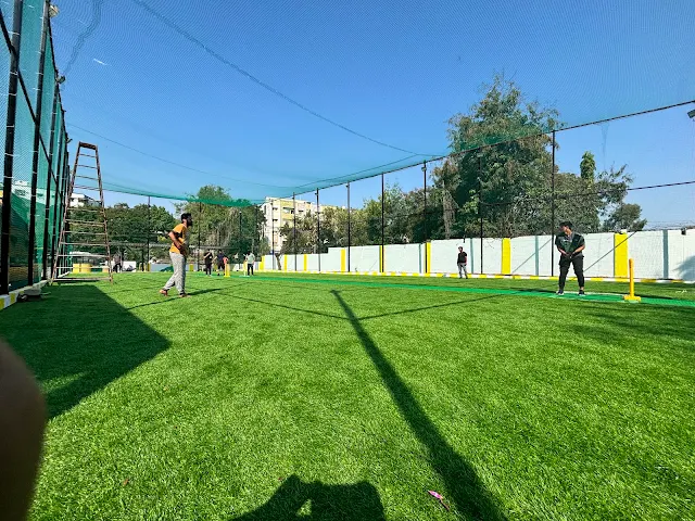 Turf main photo