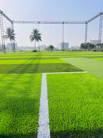 Turf photo 12