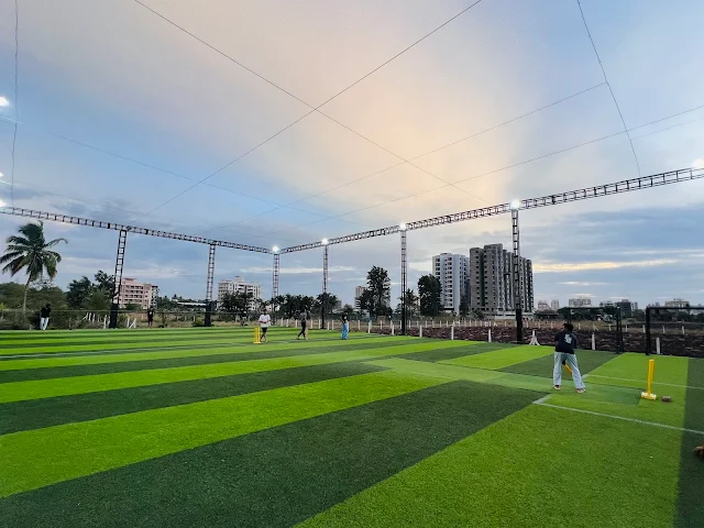 Turf photo 5
