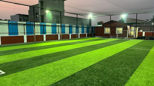 Turf photo 2
