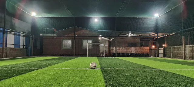 Turf photo 6