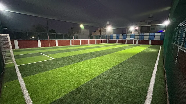 Turf photo 5