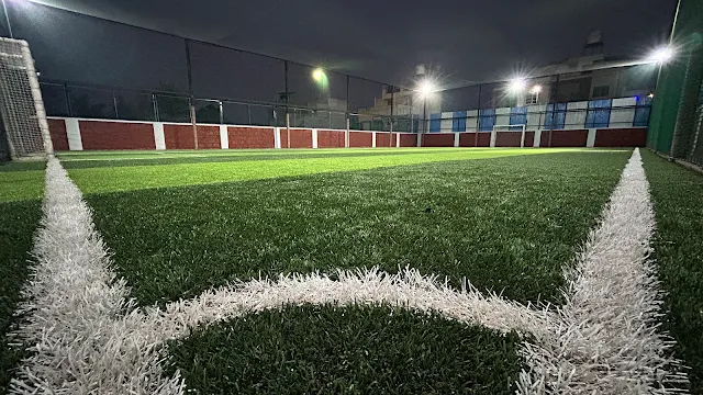 Turf photo 3