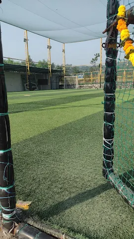 Turf photo 4