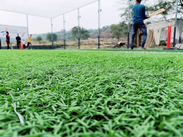Turf photo 2