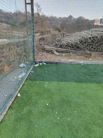 Turf photo 6