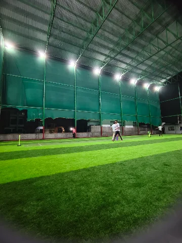 Turf photo 4