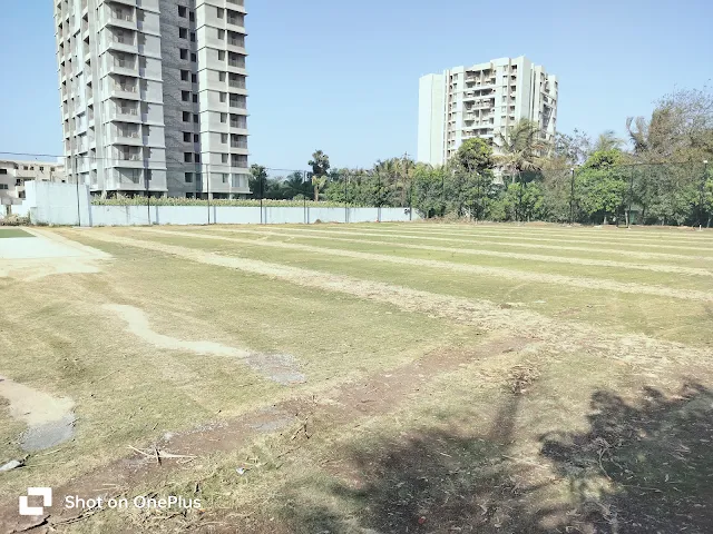 Turf photo 2