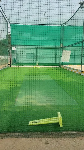 Turf photo 7