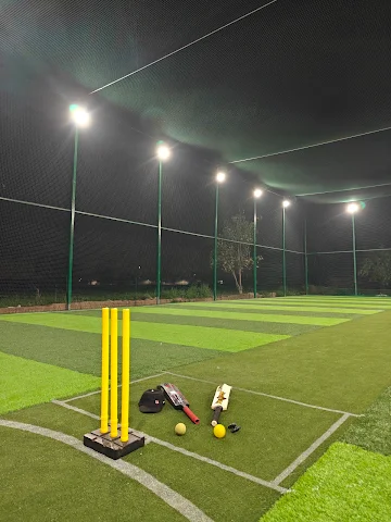 Turf photo 2