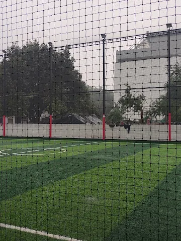 Turf photo 5