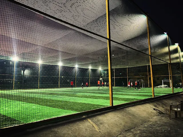 Turf photo 5