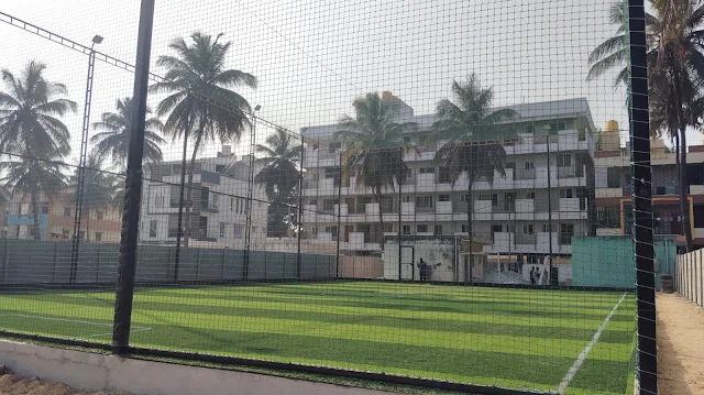 Turf photo 2