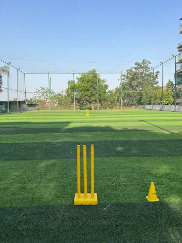 Turf main photo