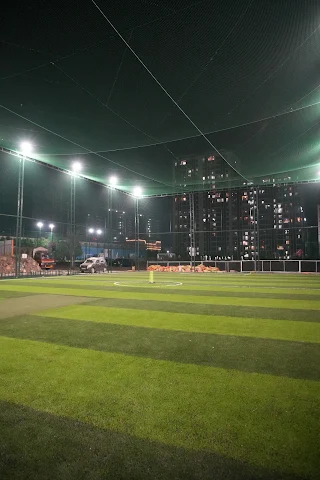 Turf photo 7