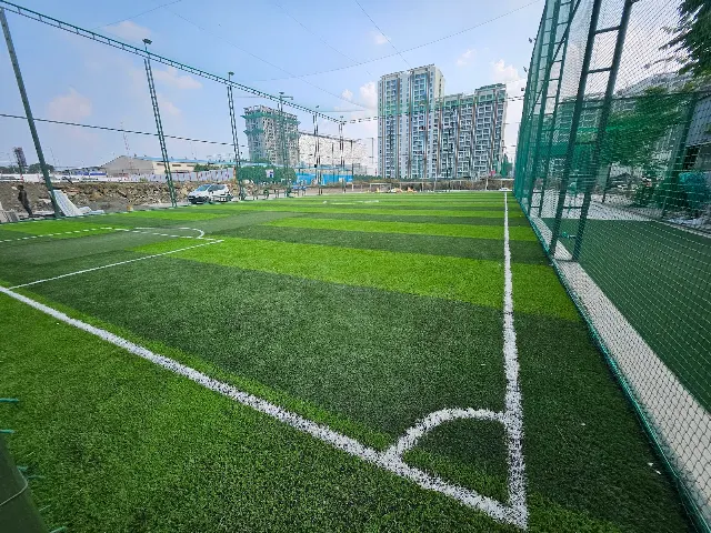 Turf photo 4