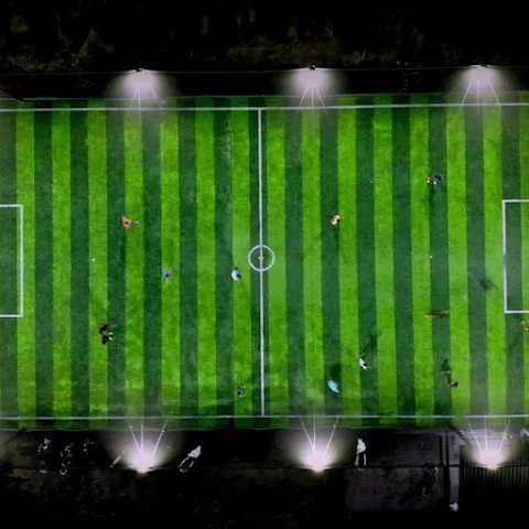 Turf photo 2