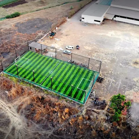 Turf photo 3