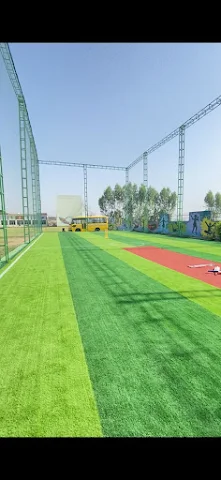 Turf photo 5