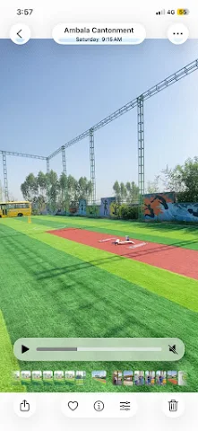 Turf photo 4