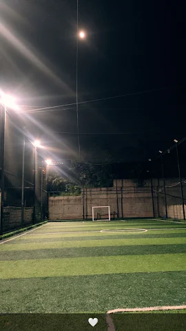 Turf photo 2