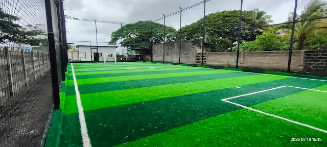 Turf photo 4