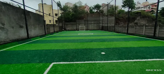 Turf photo 5