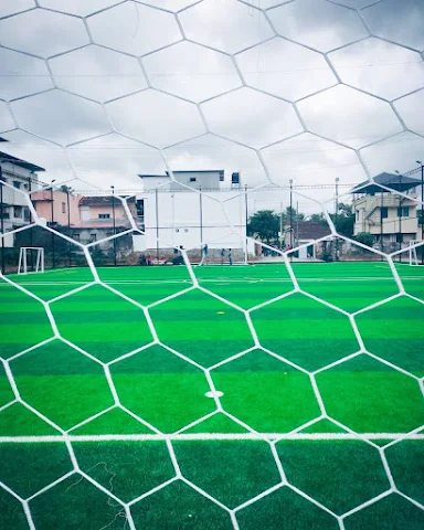 Turf photo 2