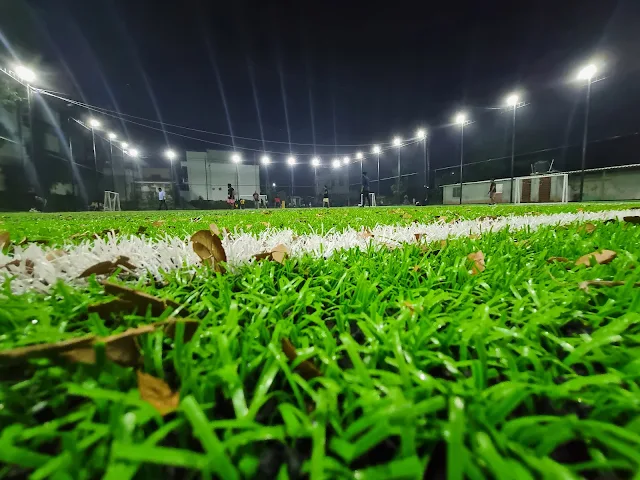 Turf photo 3