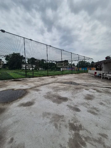 Turf photo 4