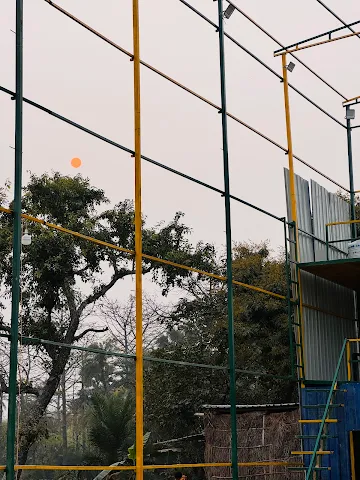 Turf photo 4